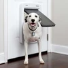 „PetSafe SmartDoor“ prijungiamas raktas – mikroschemų prieigos įrenginys, didelis dydis, saugus įėjimas