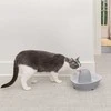 PetSafe Streamside Keraminis Katės fontanėlis 1.8L – Tylus, patvarus vandens dalytuvas su lengvai valomu dizainu