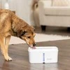 PetSafe Viva naminių gyvūnėlių fontanėlis – didelės talpos, apšviestas vandens lygio indikatorius, modernus dizainas