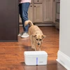 PetSafe Viva naminių gyvūnėlių fontanėlis – didelės talpos, apšviestas vandens lygio indikatorius, modernus dizainas
