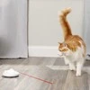 PetSafe FroliCat ZIP - automatinis lazerinis žaislas katėms