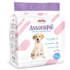 Record AssorbiPiu Puppy Pads 60x60cm – sugeruojantys treniruočių kilimėliai su tvirtinimo lopais, 11 vnt.