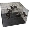 Show Tech didelis šunų maniežas 122x122x81cm – su reguliuojamu dvigubu dugnu, erdgaus ir saugaus dizaino