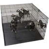 Show Tech didelis šunų maniežas 122x122x81cm – su reguliuojamu dvigubu dugnu, erdgaus ir saugaus dizaino