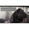 Show Tech Groom-X Super Power Bather Pump – Aukšto slėgio maudymo rinkinys su patvariu varikliu ir žarna Groom-X