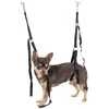 Show Tech Grooming Noose Set Mini – Reguliuojamos nailoninės pavadėliai, 1,5 cm pločio, saugiai priglundantis