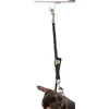 Show Tech Grooming Noose Set Mini – Reguliuojamos nailoninės pavadėliai, 1,5 cm pločio, saugiai priglundantis