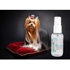 Show Tech+ Protect & Shine Serum 50ml – Intensely drėkinamoji maitinamoji formulė su terminiu apsauga