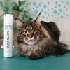 Show Tech+ Sausas Šampūnas Purškalas 200ml – Tekstūros Formulė, Greito Poveikio ir Neš Džiūvimo Efekto