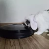 Automatinis maisto dalytuvas su laikmačiu