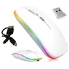 Belaidė pelė ergonominė kompiuterio pelytė, su šviesomis, spalva: balta