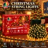 Lighthouse Kalėdinė LED girlianda, 100 LED, 7 m, geltona, IP20
