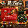 Lighthouse Kalėdinė LED girlianda, 1000 LED, 65 m, įvairių spalvų, IP20
