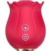 Vibratorinė rožė
