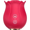 Vibratorinė rožė