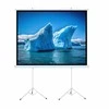 Art MENINĖS VADOVAS EKRANAS ANT A su stovu 140 colių 254x254cm TA-140 1:1 dvigubos viryklės