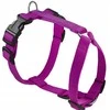 Chaba CH APSAUGOS DIRŽAI M (P)25-40 (T)35-55X2CM FUCHSIA 5069