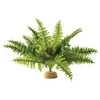 Exo Terra Dirbtinis augalas – Boston Fern, M