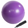 YB03 NAUJAS 55CM VIOLETINIS GIMNASTIKOS KAMUOLYS HMS
