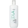 Indola Acondicionador Reparador, 1 l 2 24