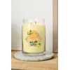 Yankee Candle Signature citrinų skonio gelato žvakė didelė, 567 g