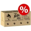 Purina Nestle PURINA FELIX FANTASTIC Mix Country Skonis 120x85g