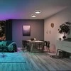 Paulmann Lubinis šviestuvas Rainbow Dynamic Panel 22W RGB Variable Balta Balta/juoda