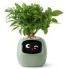 PlantsIO gebenė žalia