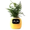 Kwiatydonice PlantsIO gebenė geltona