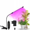 Platinet PLATINET LED AUGIMO LEMPPA AUGALŲ AUGIMO LAMP CLIP 3W [45834]