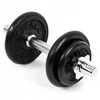 Spokey Egir ketaus hantelis 1 x 10 kg