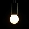 Segula 55303 LED lemputė šiltai balta 6,2 W E27 G