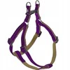 Nobby NOBBY SOFT GRIP DIRŽAI XS PURPLE 10mm/30-40cm