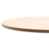 Picos akmuo Char-Broil 38cm