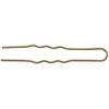 "Eurostil Hair Invisible Hair Pin Bag Bronze bronziniai plaukų smeigtukai 20vnt