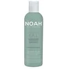 Noah YAL Hydrating And Restorative Treatment Šampūnas Atkuriamasis drėkinantis šampūnas su hialurono rūgštimi ir šalaviju, 250 ml