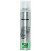 Eurostil Tassel Laca Style Pro Normal, 300 ml Purškiklis