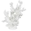 Jaukeja Baltas koralas, 17x17x20 cm