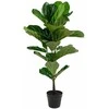 Jaukeja Dirbtinis augalas Fiddle Leaf Tree 100cm
