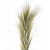 Jaukeja Rankų darbo dekoracija – “Rayung Grass”