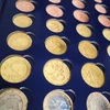 Albumas Euro monetoms Impressa