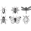 Entomologiniai smeigtukai vabzdžiams (Emaliuoti) (Čekija) (6A)