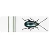 Klijavimo formelė (11 x 6 mm)