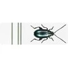 Klijavimo formelė (11 x 4 mm)