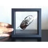 Rėmelis Magic Frame (pastorintas) (70 x 70 mm.)