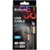 Defender USB AM-MICRO BM 1.0m 2.1A Auksinis
