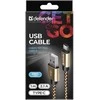 Defender USB AM-TYPE C 1,0m 2.1A Auksinis
