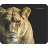 Kilimėlis Defender Wild Animals 220 x 180 x 2