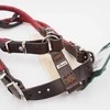 65 CM. petnešos šunims Hunter H62151
