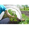 Agroplėvelė 1,6 x 10 m pavasarinė balta 17 g/m²